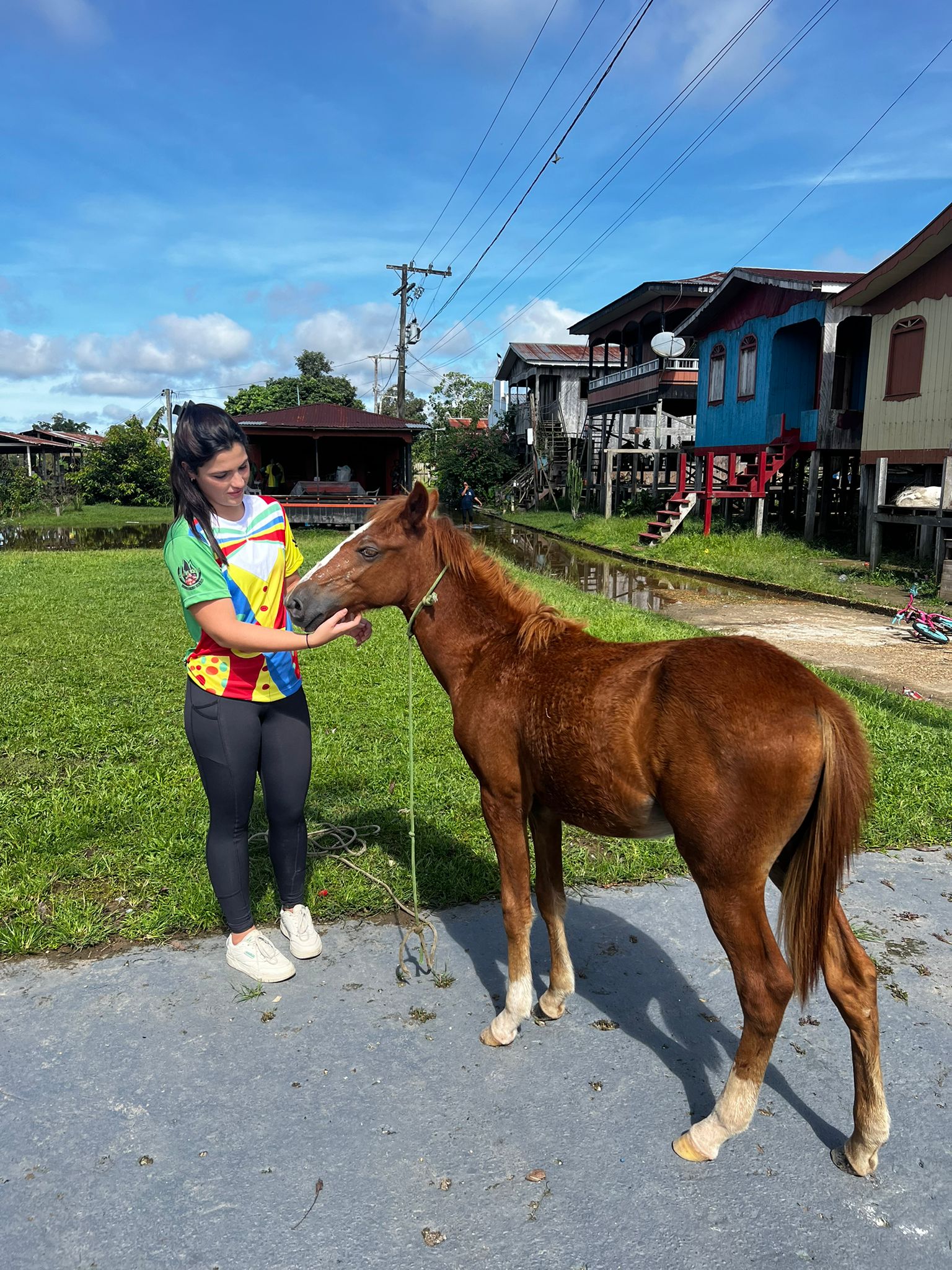 WhatsApp Image 2026-03-20 at 15.45.01 (3).jpeg